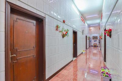 اویو 393 الوحده هتل