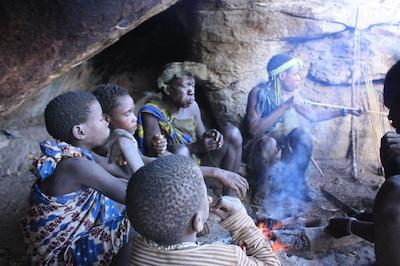 د ویجیجی سنتر لاگ اند سافاری