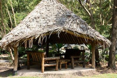 د ویجیجی سنتر لاگ اند سافاری