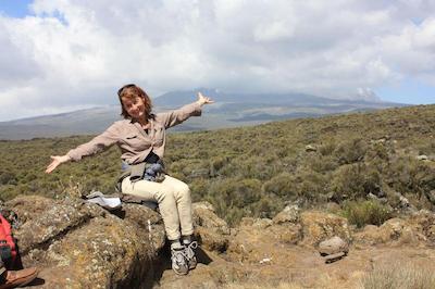 د ویجیجی سنتر لاگ اند سافاری