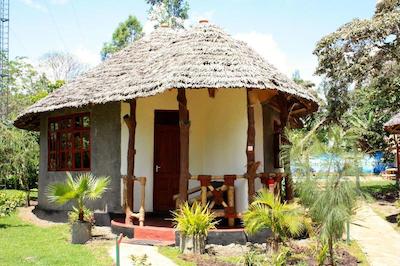 د ویجیجی سنتر لاگ اند سافاری