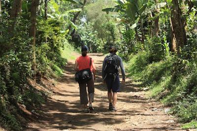 د ویجیجی سنتر لاگ اند سافاری