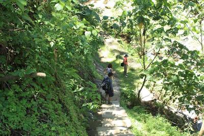 د ویجیجی سنتر لاگ اند سافاری