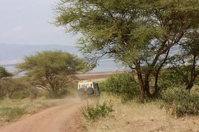 د ویجیجی سنتر لاگ اند سافاری