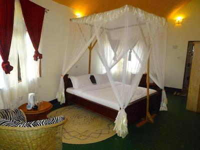 د ویجیجی سنتر لاگ اند سافاری