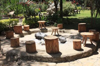 د ویجیجی سنتر لاگ اند سافاری