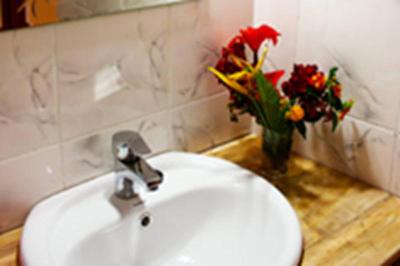 د ویجیجی سنتر لاگ اند سافاری