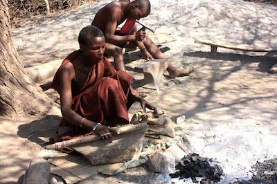 د ویجیجی سنتر لاگ اند سافاری