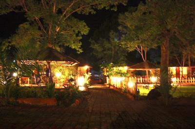 د ویجیجی سنتر لاگ اند سافاری