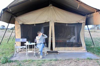 د ویجیجی سنتر لاگ اند سافاری