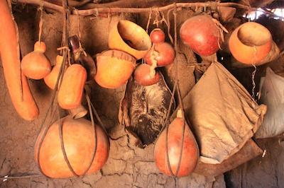 د ویجیجی سنتر لاگ اند سافاری