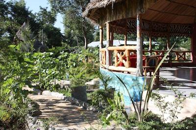 د ویجیجی سنتر لاگ اند سافاری