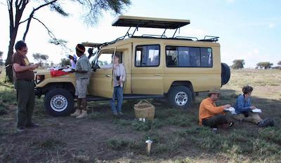 د ویجیجی سنتر لاگ اند سافاری