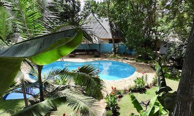 د ویجیجی سنتر لاگ اند سافاری