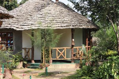 د ویجیجی سنتر لاگ اند سافاری