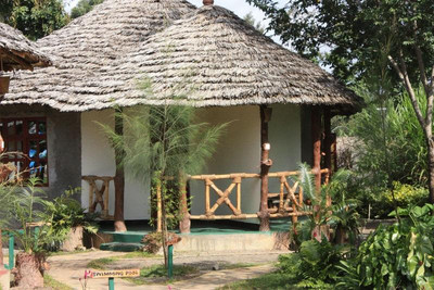 د ویجیجی سنتر لاگ اند سافاری