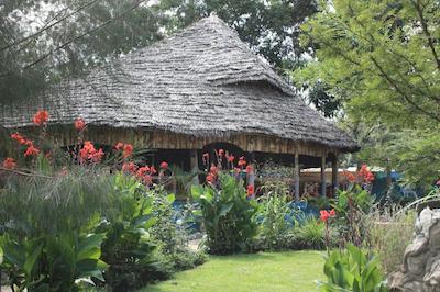 د ویجیجی سنتر لاگ اند سافاری