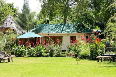 د ویجیجی سنتر لاگ اند سافاری