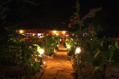 د ویجیجی سنتر لاگ اند سافاری