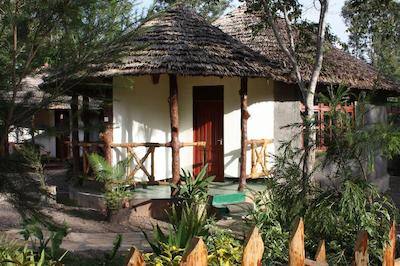 د ویجیجی سنتر لاگ اند سافاری