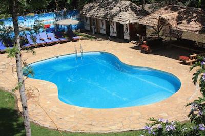 د ویجیجی سنتر لاگ اند سافاری