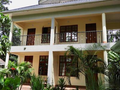 د ویجیجی سنتر لاگ اند سافاری