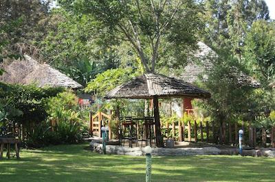 د ویجیجی سنتر لاگ اند سافاری