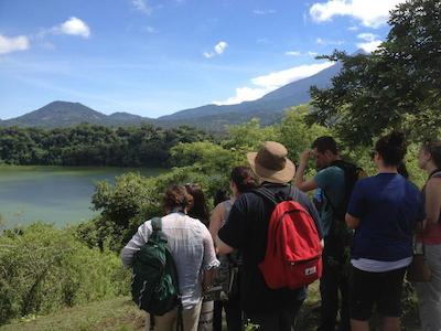 د ویجیجی سنتر لاگ اند سافاری