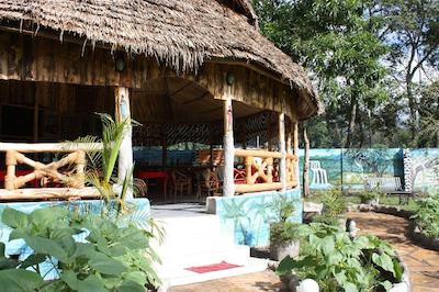 د ویجیجی سنتر لاگ اند سافاری