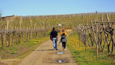 کستلو دی ماگنانا