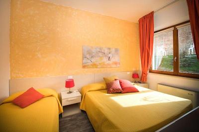 بی بی کاموللیا