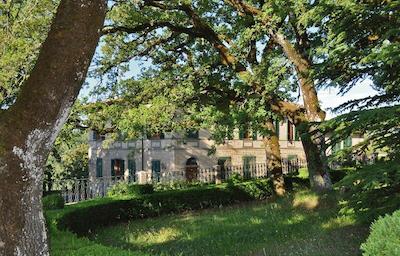 کازا ال لسیو