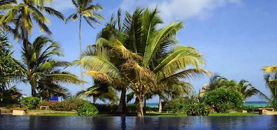 د پالمز زنزیبار آل اینکلاسیو