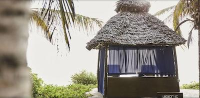 د پالمز زنزیبار آل اینکلاسیو