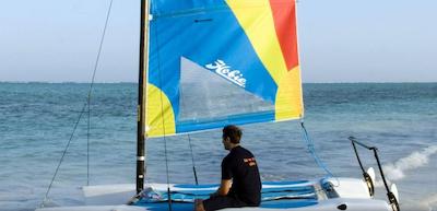 د پالمز زنزیبار آل اینکلاسیو