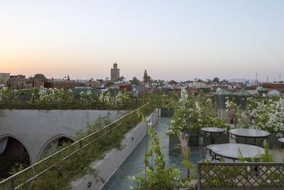 آلماها ماراکچ