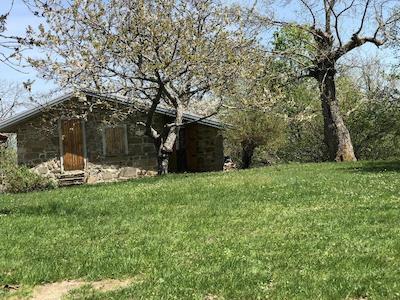 آلبرگو ریستورانته مونته پیلا