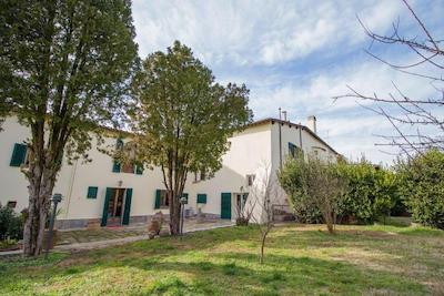 بی بی پالازی