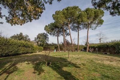 بی بی پالازی