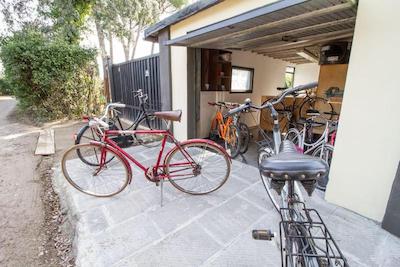 بی بی پالازی