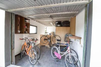 بی بی پالازی