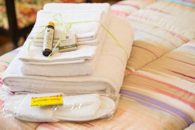 بی بی پالازی