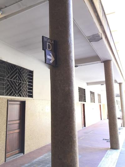 جی جی فرنزه سویتز