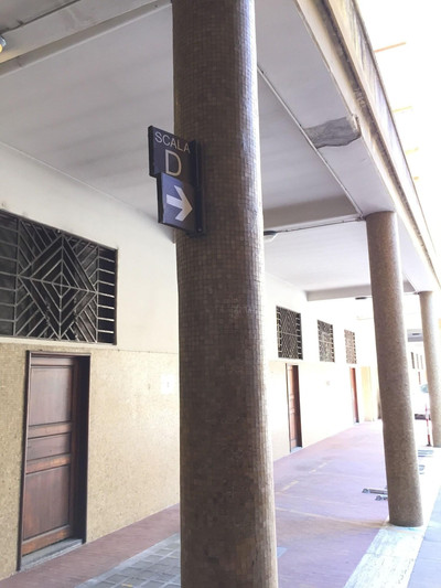 جی جی فرنزه سویتز