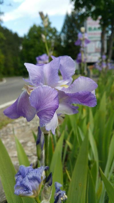 هتل ریستورانته میرا مونتی