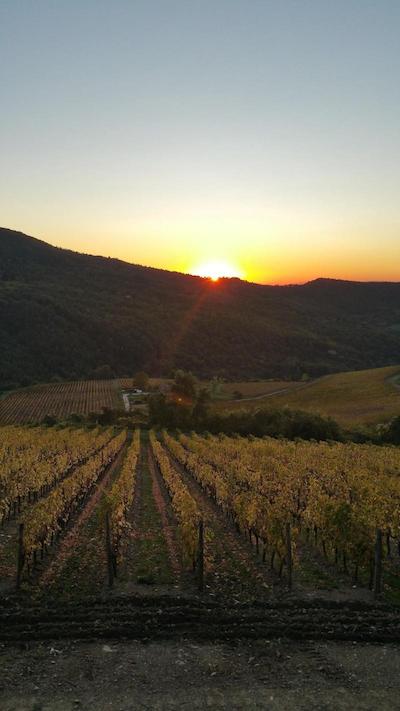 هتل ریستورانته میرا مونتی