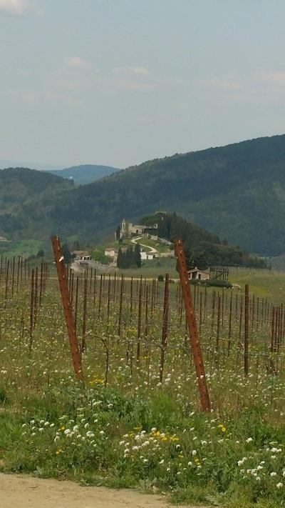 هتل ریستورانته میرا مونتی