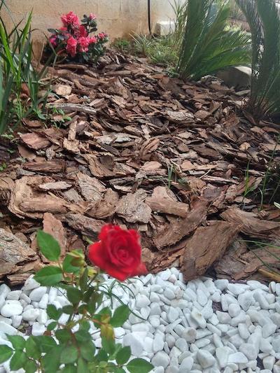 هتل داس ویاجنتس