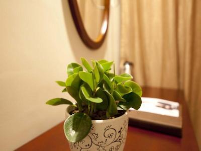 گرین تری این جینینگ یوتای باس ترمینال اکسپرس هتل