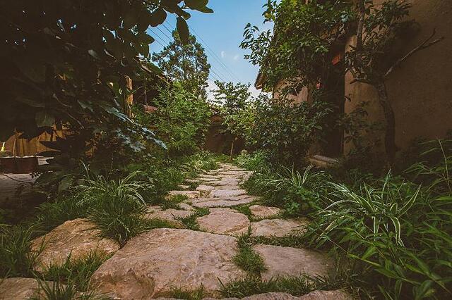 یان ژی سی هه هوم استی